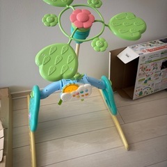 プーメリーの画像