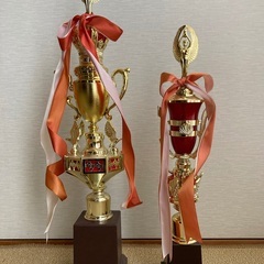 トロフィーお譲りします！の画像