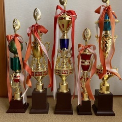 トロフィーお譲りします！の画像