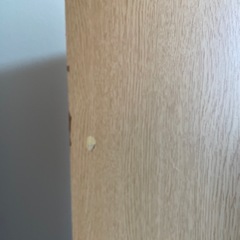 ¥100カラーボックスの画像