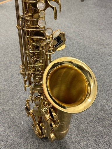 Yanagisawa ヤナギサワ A-WO10 アルトサックス