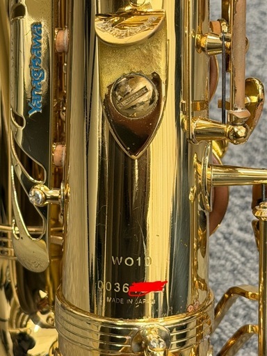 Yanagisawa ヤナギサワ A-WO10 アルトサックス