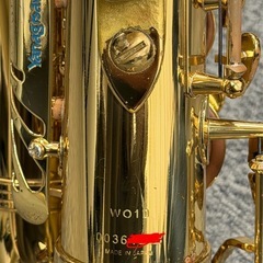 Yanagisawa ヤナギサワ A-WO10 アルトサックスの画像