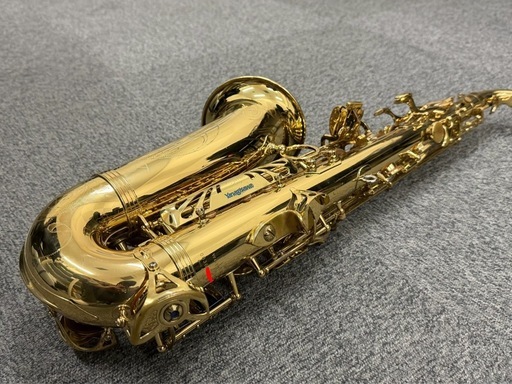 Yanagisawa ヤナギサワ A-WO10 アルトサックス