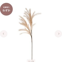 Francfranc アートプランツと花瓶セットの画像