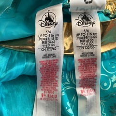 ジャスミンコスチューム　120cm 仮装の画像