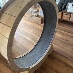 直接取りに来れる方！猫のおもちゃ運動！の画像