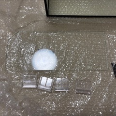 テトラ　水槽30cmの画像