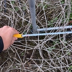 農業用ビニールハウス骨組み一式（4.5m×10m）撤去可能な方限定の画像