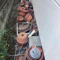 植木鉢持てるだけの画像