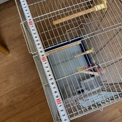 2/2まで！鳥籠 鳥カゴ ケージ 小鳥  インコ 文鳥　HOEIの画像