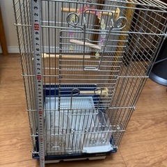 2/2まで！鳥籠 鳥カゴ ケージ 小鳥  インコ 文鳥　HOEIの画像