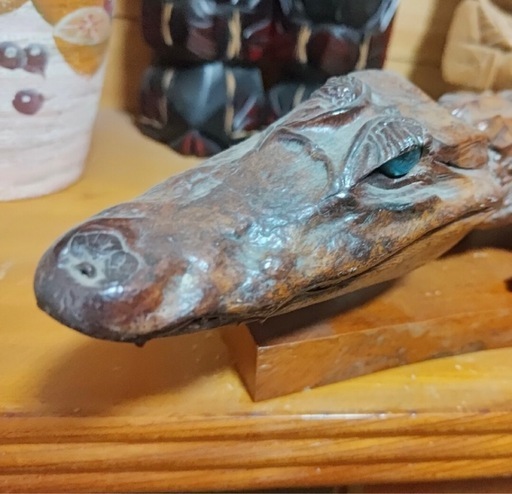 ワニ 標本 剥製 鰐皮