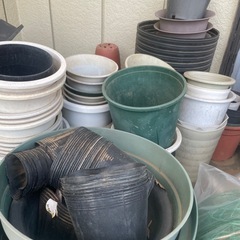 鉢　トレイ　育苗箱　ポットの画像