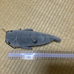 ぬいぐるみの画像