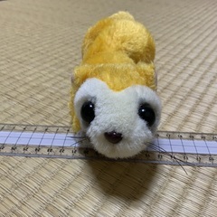 ぬいぐるみの画像