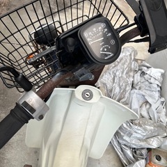 カブ バーディ50の画像