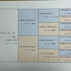 オオクワガタ（久留米産
）　未使用　新成虫ペアの画像