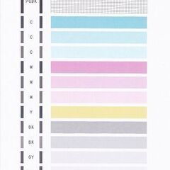 キャノンプリンター TS8030 ブラウン №21【使用歴少】の画像