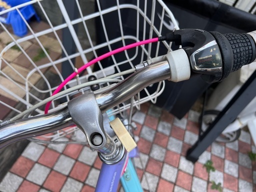 子供用自転車　ブリヂストン　Wild Berry 24インチ