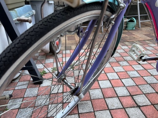 子供用自転車　ブリヂストン　Wild Berry 24インチ