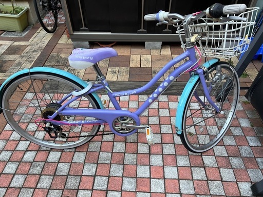子供用自転車　ブリヂストン　Wild Berry 24インチ