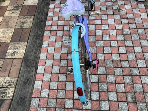 子供用自転車　ブリヂストン　Wild Berry 24インチ