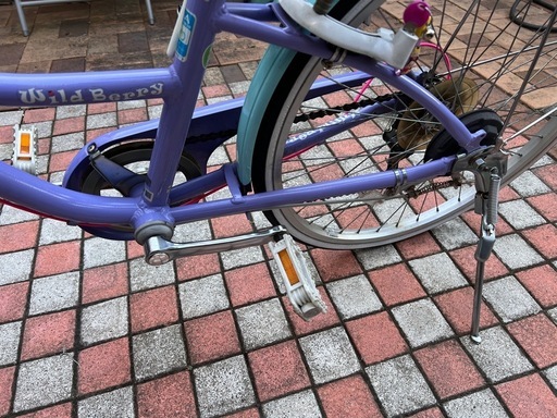子供用自転車　ブリヂストン　Wild Berry 24インチ