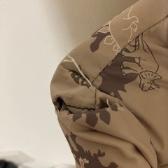 プティマインのダウン100の画像