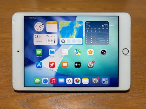 iPad mini 5 64G Wi-Fi＋Cellular 【中古美品】オマケの純正カバー