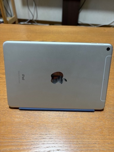 iPad mini 5 64G Wi-Fi＋Cellular 【中古美品】オマケの純正カバー