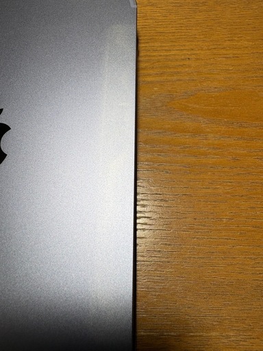 iPad mini 6 256G Wi-Fi＋Cellular 【難ありも使用及び修理可能】