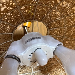 和室に合う
ニトリの照明の画像