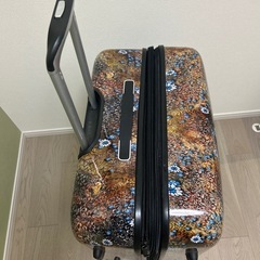 軽量 引き取り限定 
特大スーツケース LL 80 × 55 × 30センチの画像