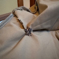 マーメイドチェア グレー 折りたたみ式 アウトドア ガーデニングの画像