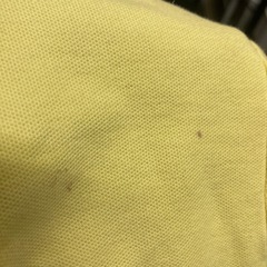 RDS　ポロシャツ　男性？　Mサイズの画像