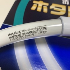 ホタルックスリムアルファ   34型のみの画像