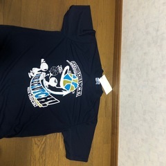 【バスケT新品】3Lの画像