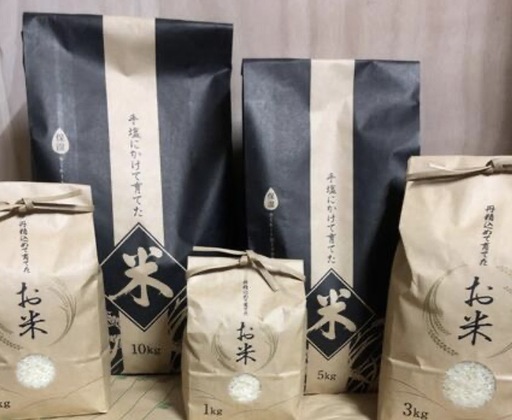 無農薬・化学肥料不使用で育てたお米 10kg
