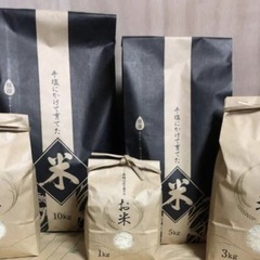 無農薬・化学肥料不使用で育てたお米 10kg 