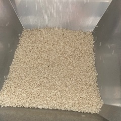 長岡京市産ヒノヒカリ¥/kg〜相談　の画像