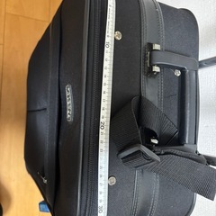 キャリーバッグの画像