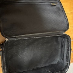 キャリーバッグの画像