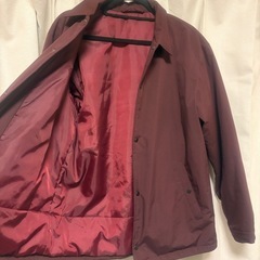 メンズ Lサイズ アウターの画像