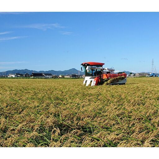 3/8で一旦終了します　残少：小分けもできます　令和7年産　徳島産　あきさかり　玄米30kg　色彩選別済　1.85網　1等米