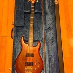 ベースギター用汎用ハードケースの画像