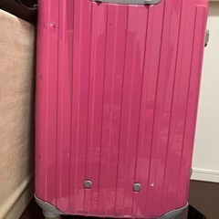 大容量スーツケースの画像