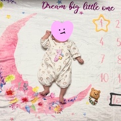 マンスリーフォトセットの画像