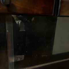 【最終値下げ】北海道民芸家具 食器棚の画像