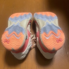 バッシュ26.0の画像